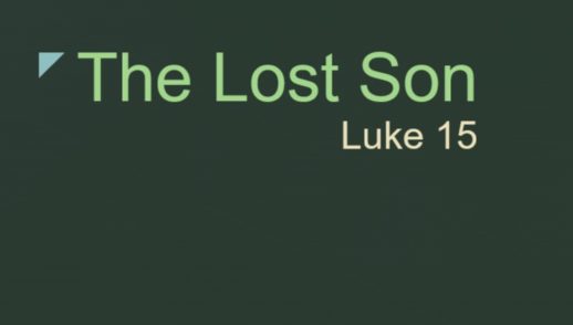 THE LOST SON