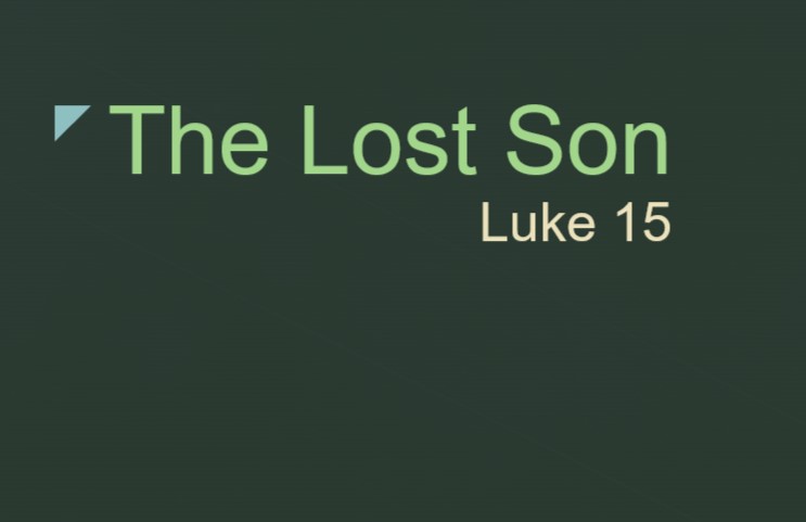 THE LOST SON
