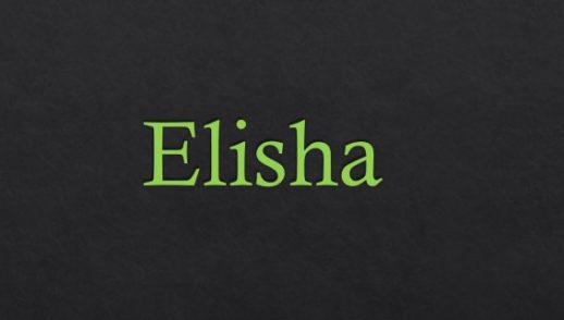 ElISHA